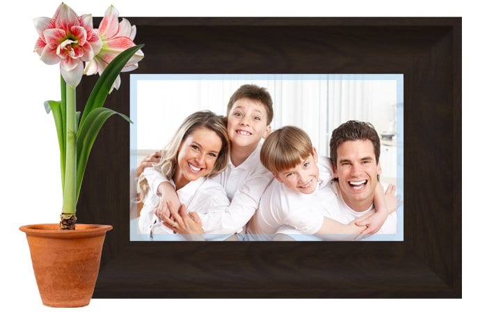 Family Dentistry | Dr. Alvaro Lopez DDS PA | Brevard NC